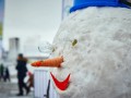 
                    В Челябинске состоится второй ежегодный флешмоб снеговиков                     